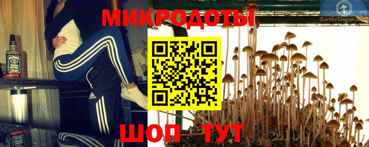 Великий Устюг  Галлюциногенные грибы Magic Shrooms  купить закладку  Вход с VPN 